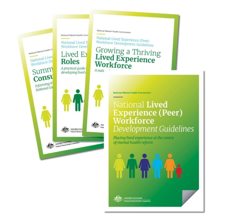 NLE Peer Workforce Guidlines